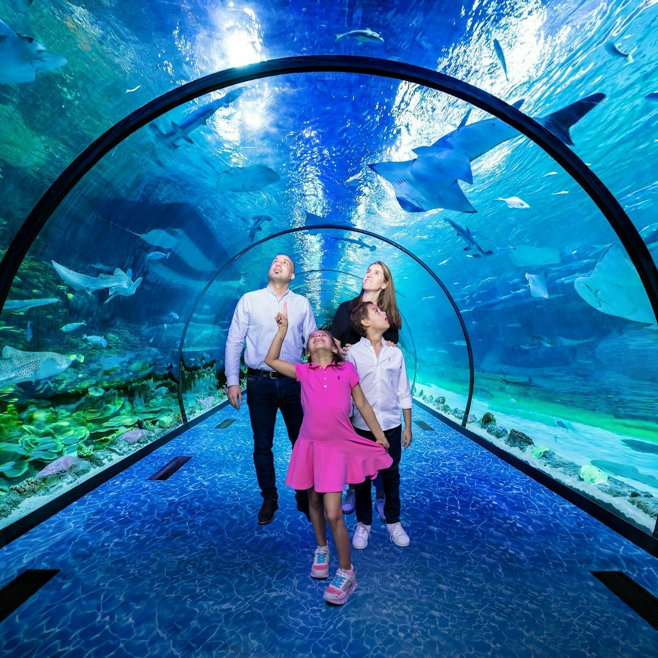 The National Aquarium Abu Dhabi: Entry + Pixoul Gaming + The Adrenark Adventure - Photo 1 of 10